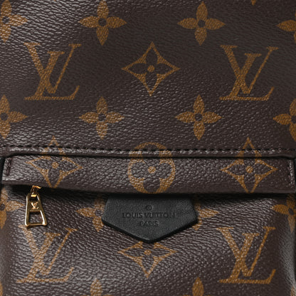 Louis Vuitton Monogram Palm Springs Backpack Mini 7 of 9