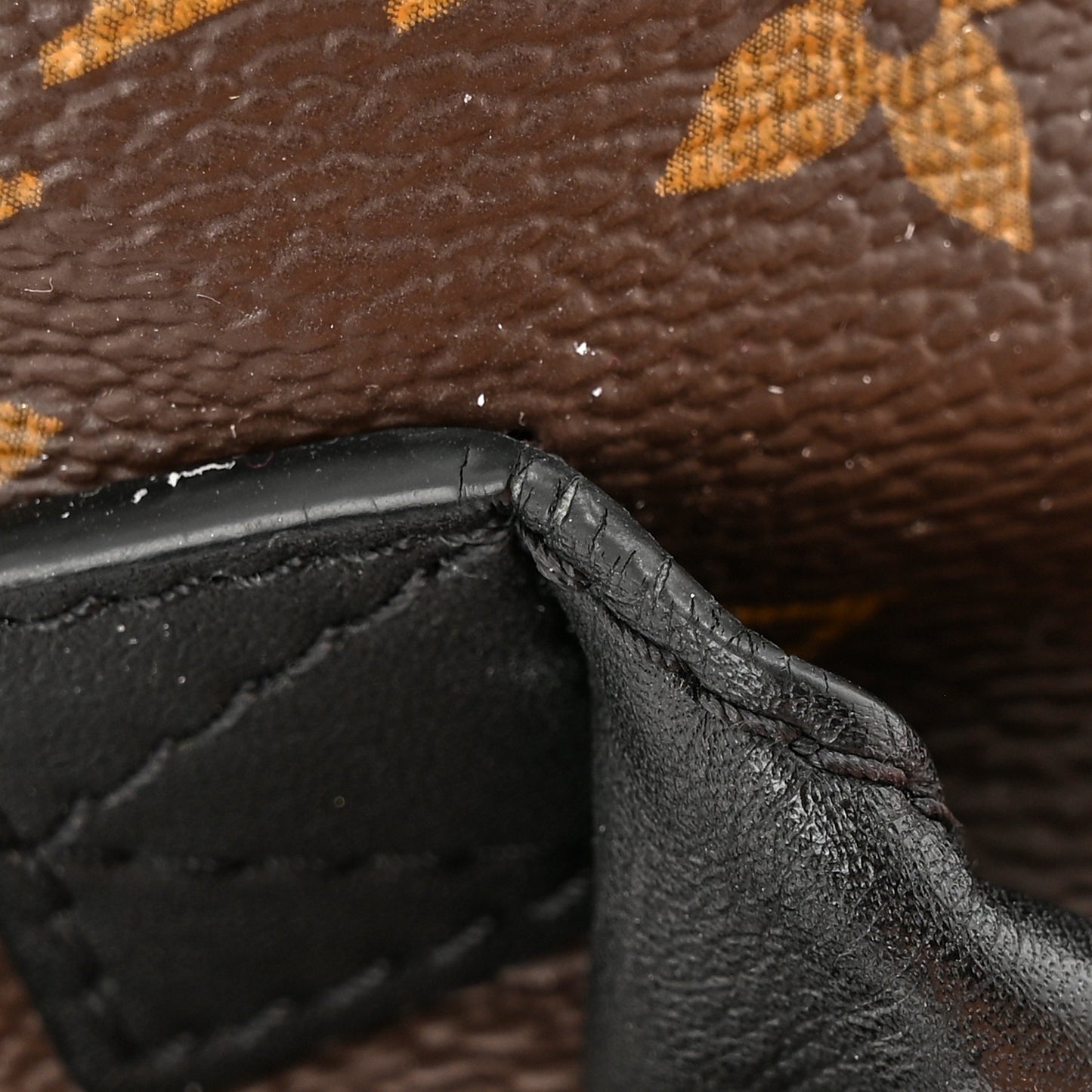 Monogram Palm Springs Backpack Mini