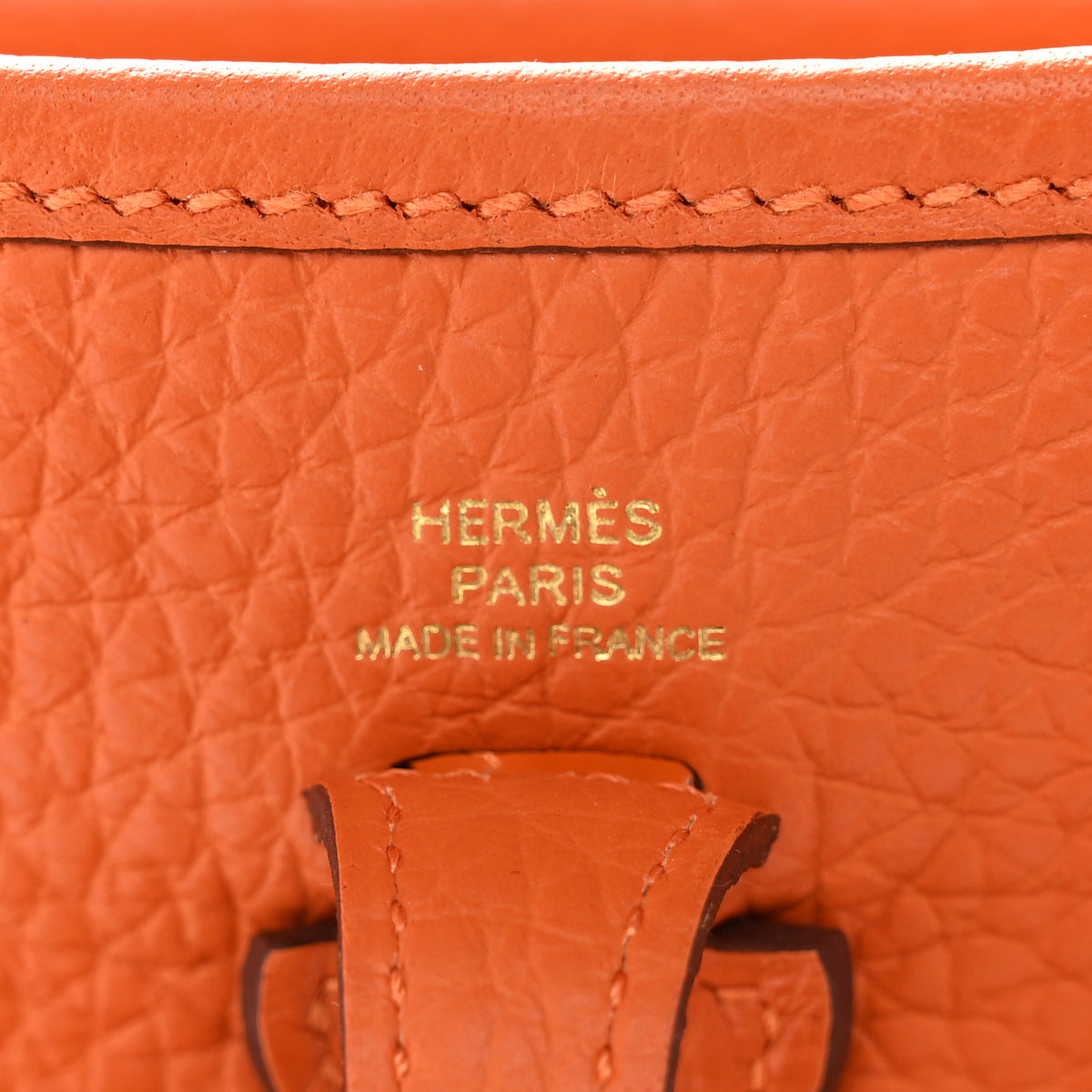Taurillon Clemence Evelyne TPM Orange