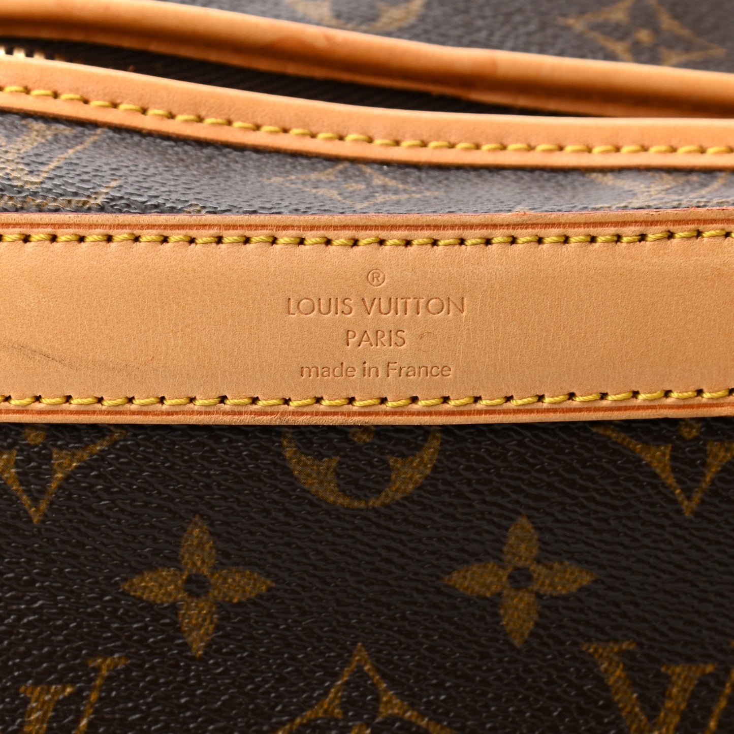Monogram Sac Chien 50 Pet Carrier