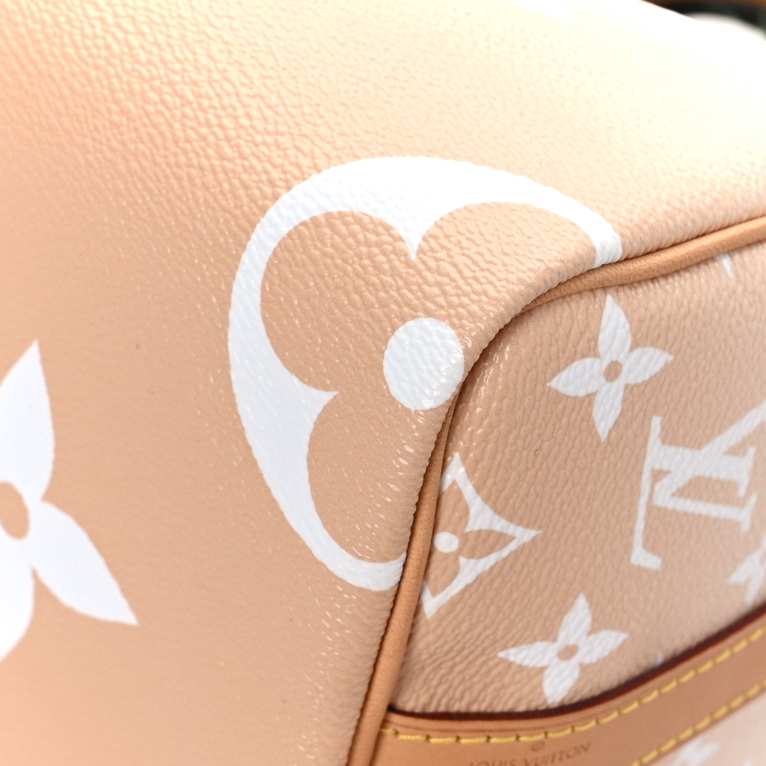 Louis Vuitton Monogram Giant By The Pool Speedy Bandouliere 25 Brume 10 of 10