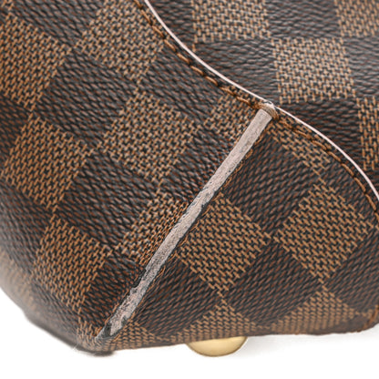 Louis Vuitton Damier Ebene Caissa Hobo Rose Ballerine 16 of 16