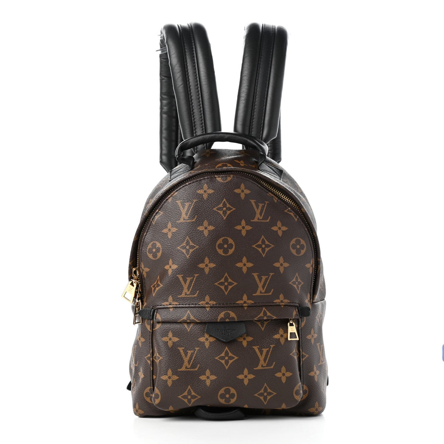 Monogram Palm Springs Backpack PM