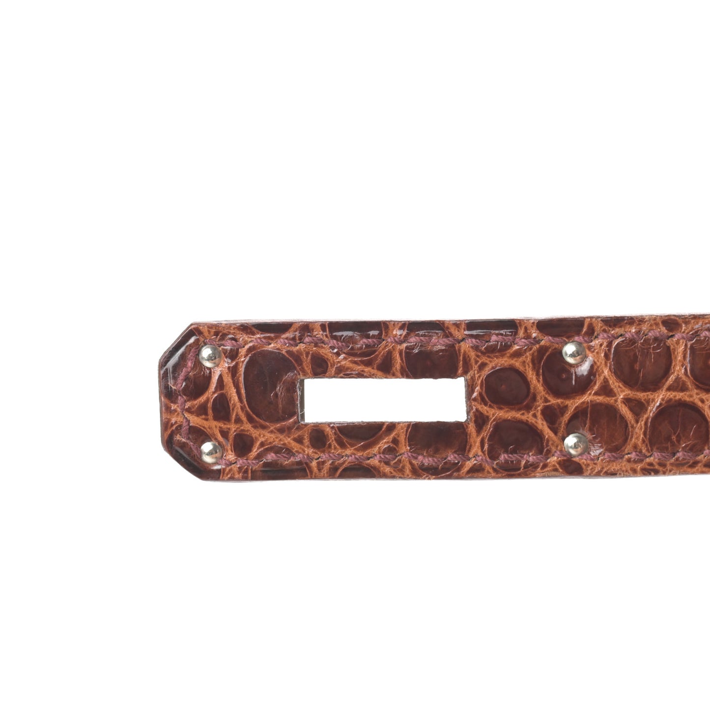 Shiny Porosus Birkin 35 Miel