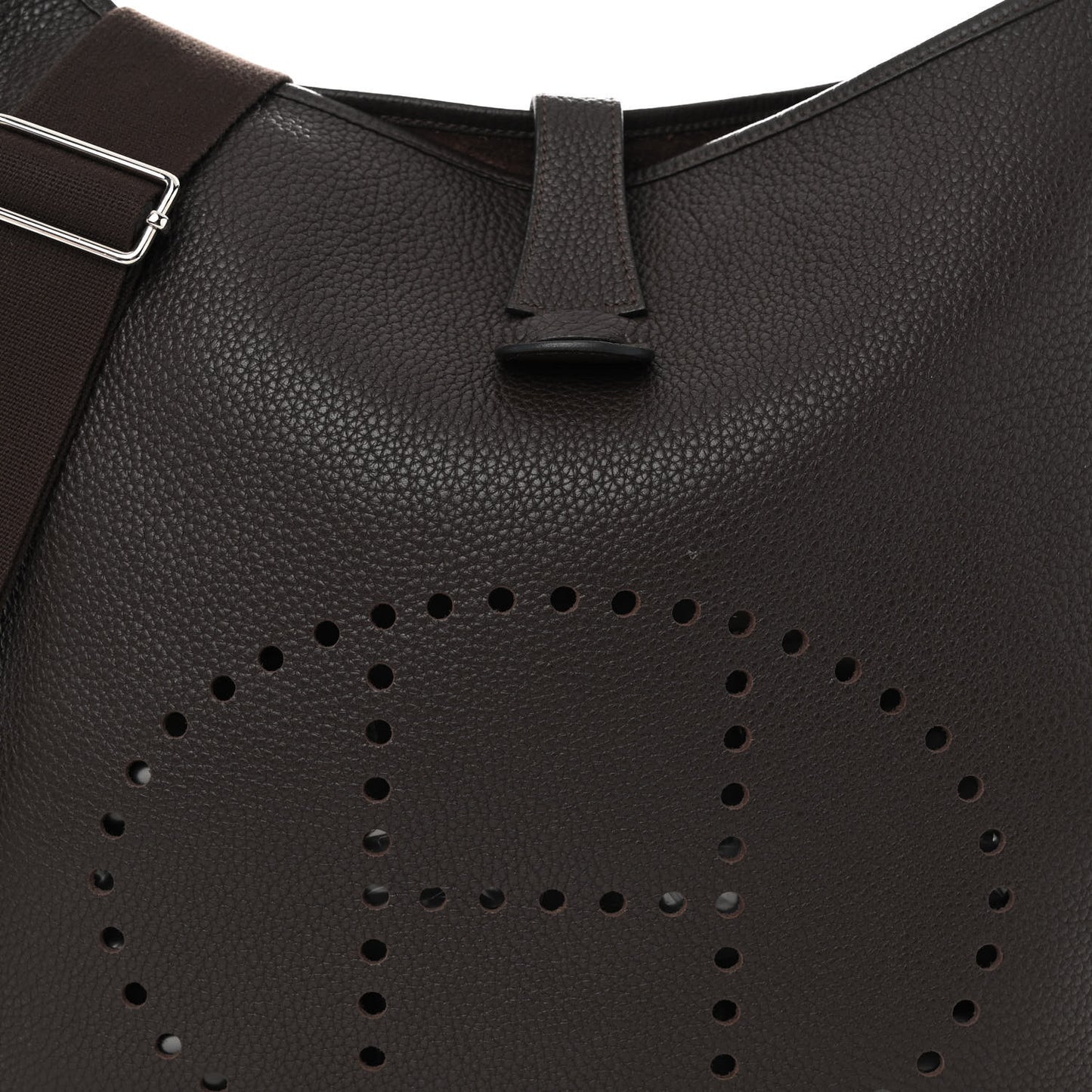 Taurillon Clemence Evelyne III TGM Chocolate