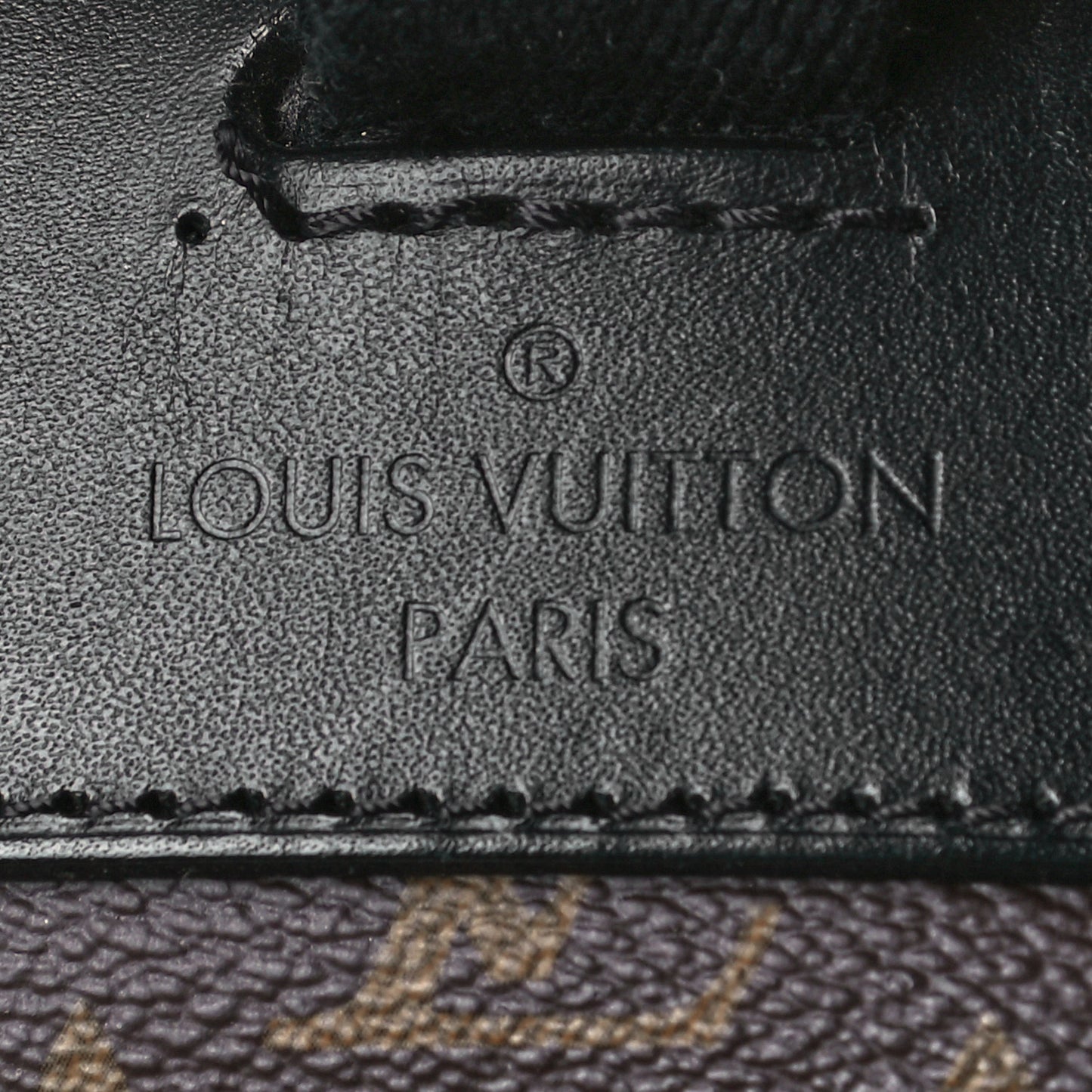 Monogram Macassar Christopher PM Backpack