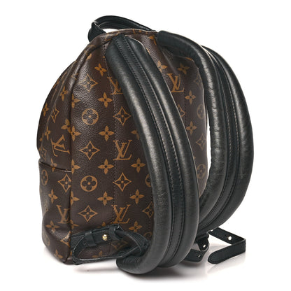 Louis Vuitton Monogram Palm Springs Backpack PM 3 of 9