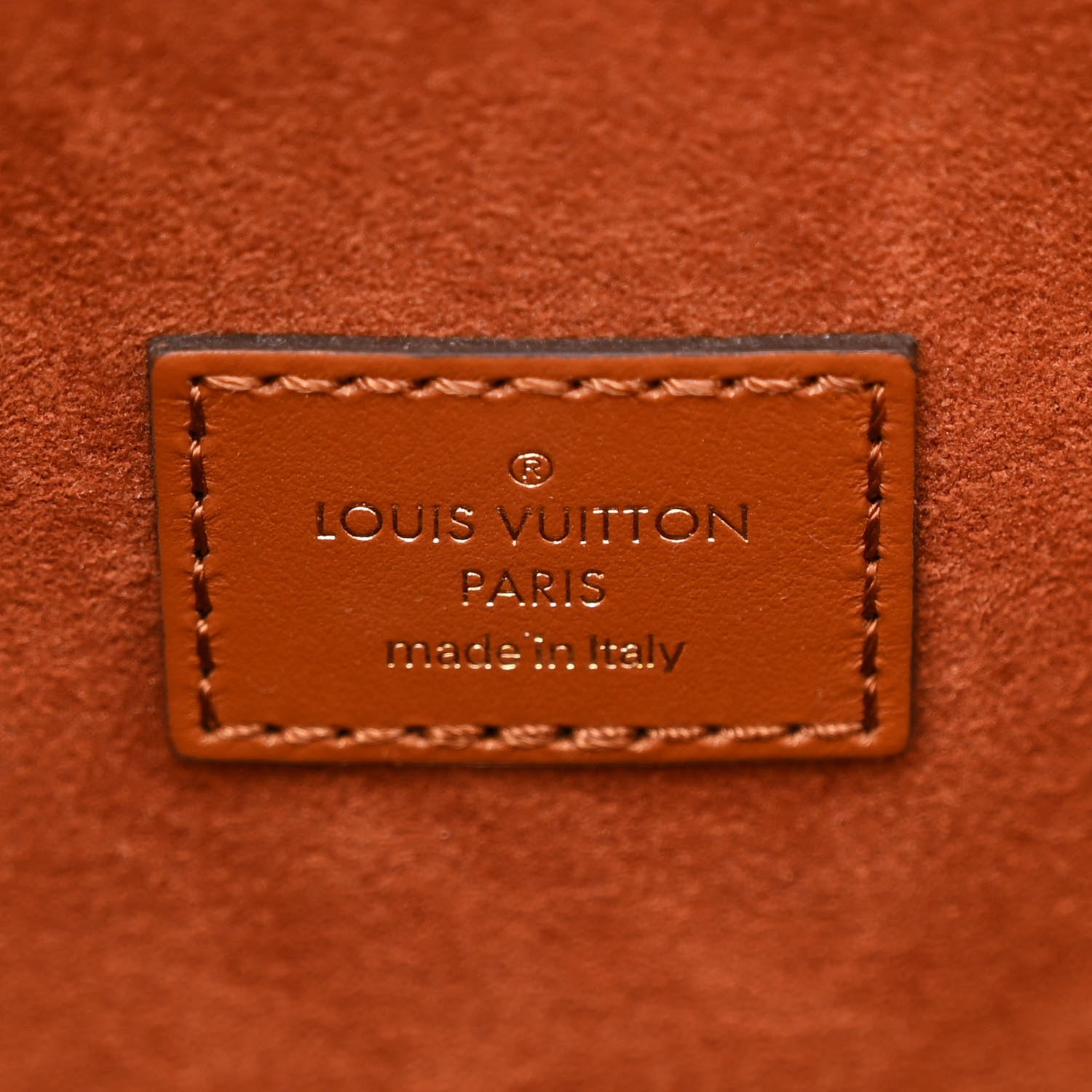 Louis Vuitton Raffia Saint Jacques Tote Caramel 8 of 11