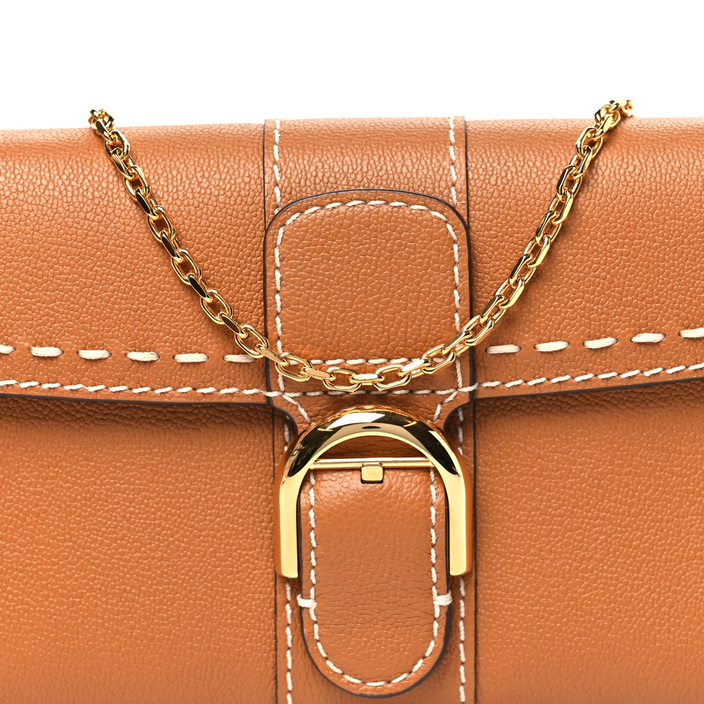 Rodeo Calfskin Surpique Brillant Wallet on Chain Vegetal