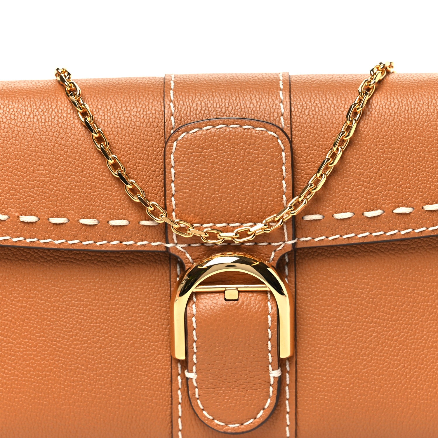 Delvaux Rodeo Calfskin Surpique Brillant Wallet on Chain Vegetal 7 of 9