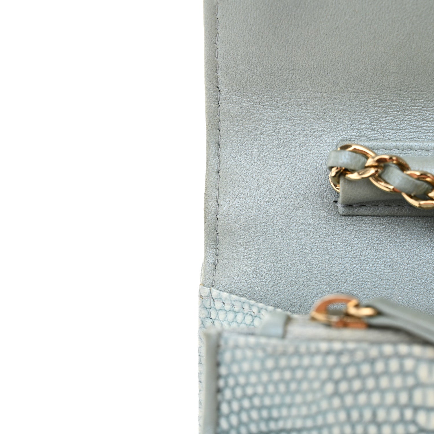 Chanel Lizard Wallet on Chain WOC Light Grey 14 of 19