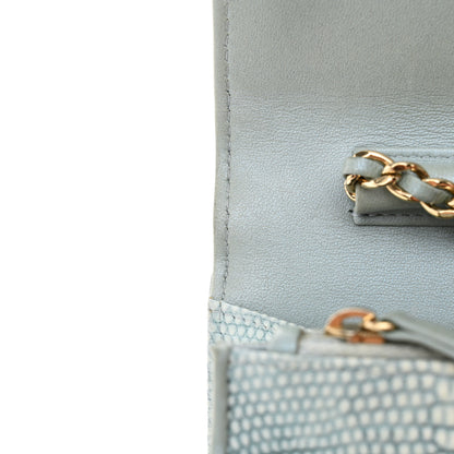 Chanel Lizard Wallet on Chain WOC Light Grey 14 of 19
