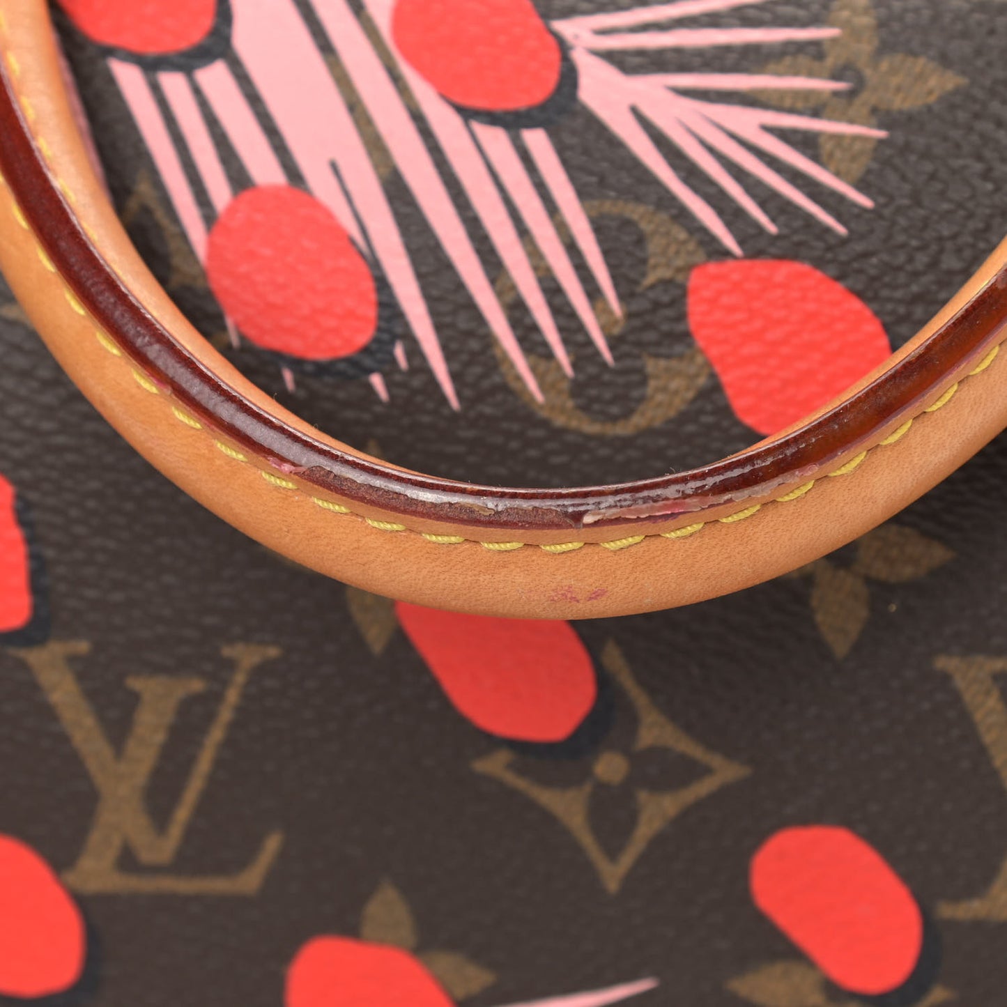 Monogram Jungle Dots Speedy 30 Sugar Pink Poppy
