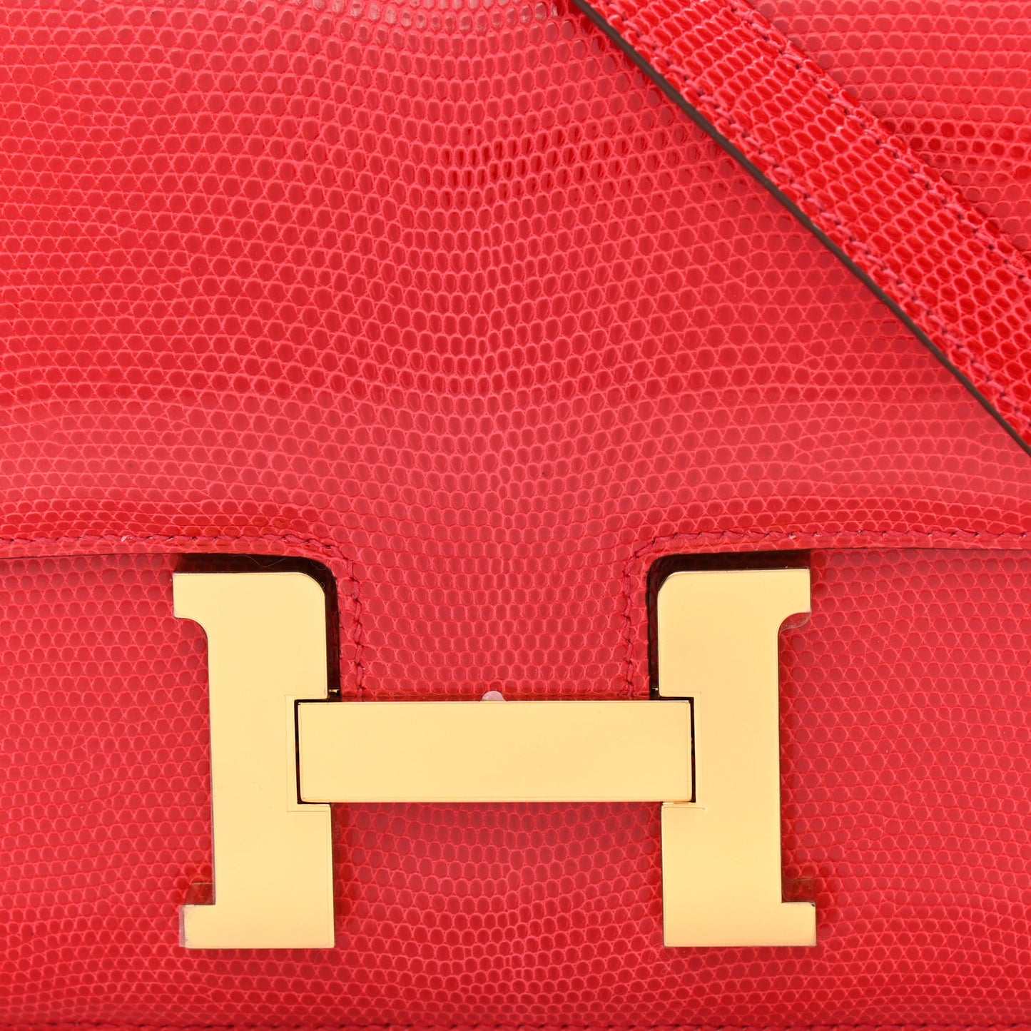 Lizard Constance 24 Rouge Exotique