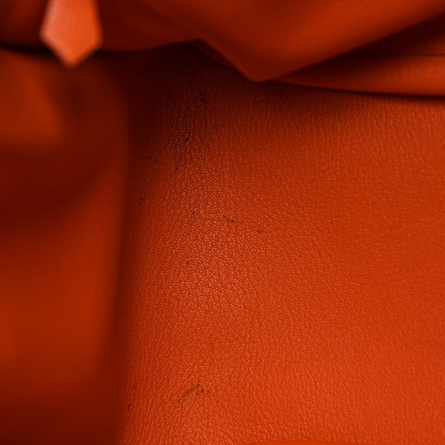 Taurillon Clemence Jypsiere 34 Orange