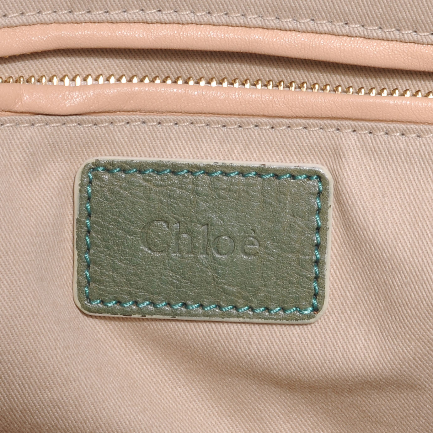 Chloe Python Medium Paraty Green 6 of 9