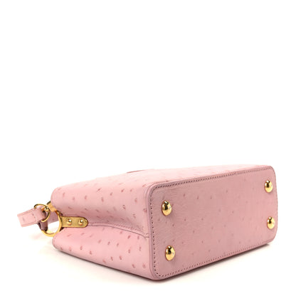 Louis Vuitton Ostrich Capucines Mini Pink 3 of 8