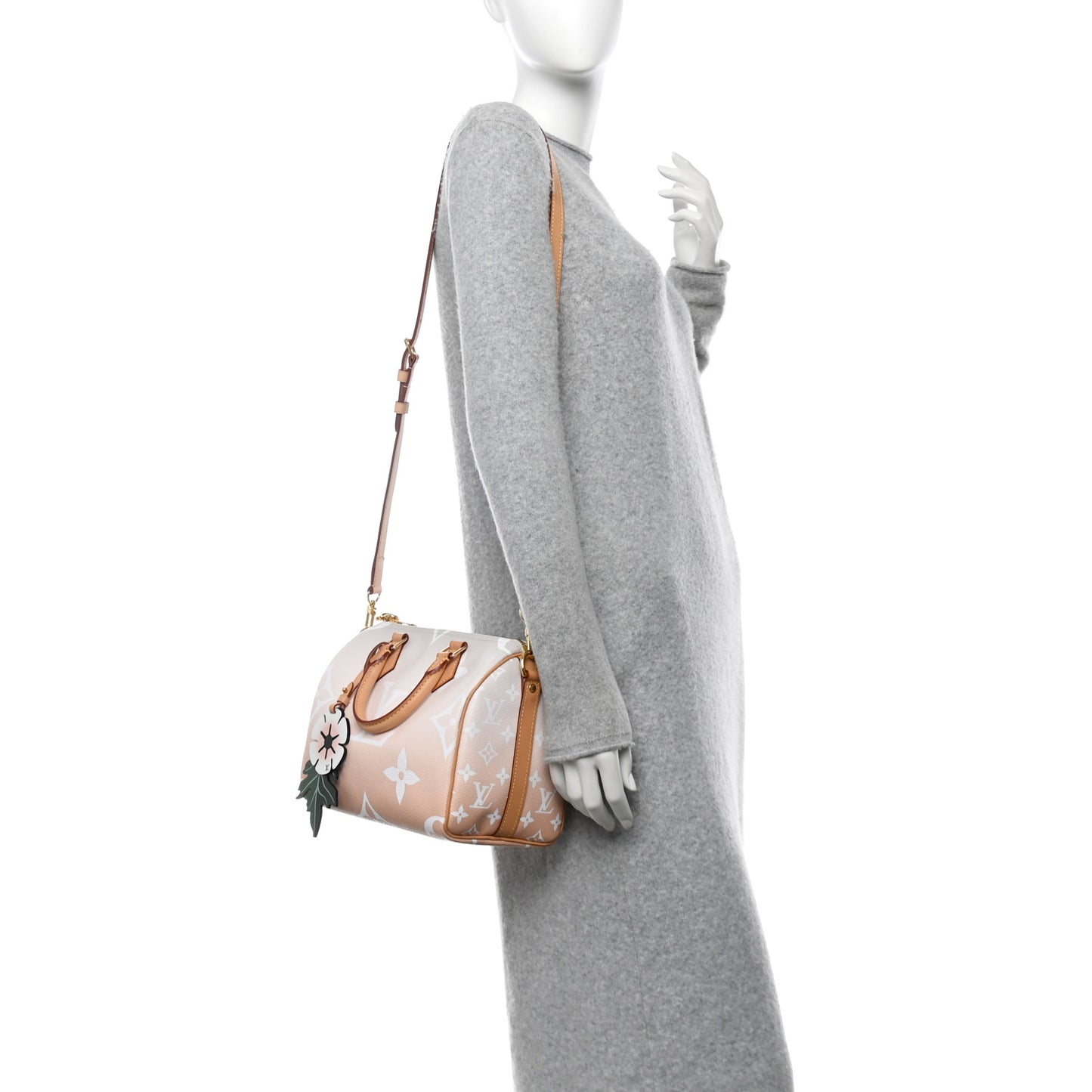 Monogram Giant By The Pool Speedy Bandouliere 25 Brume