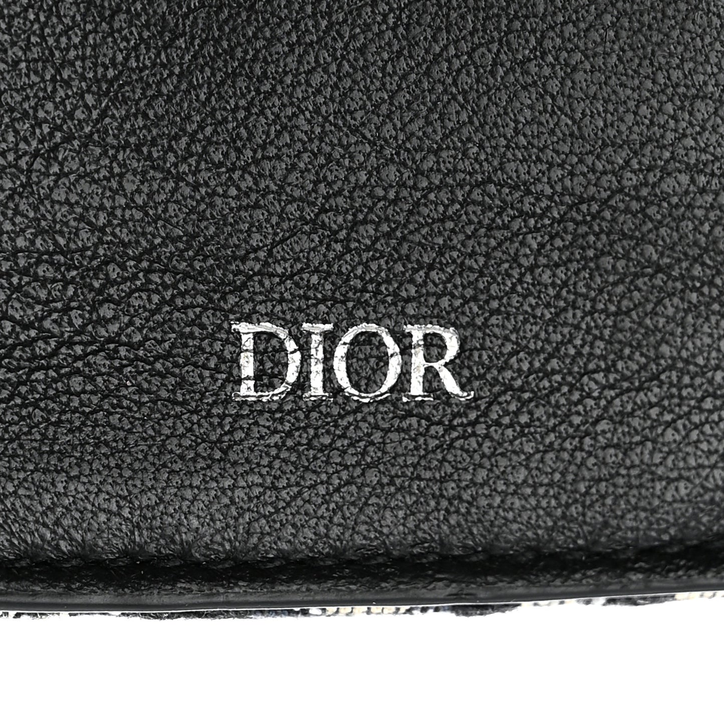 Oblique Long Vertical Wallet Blue Multicolor