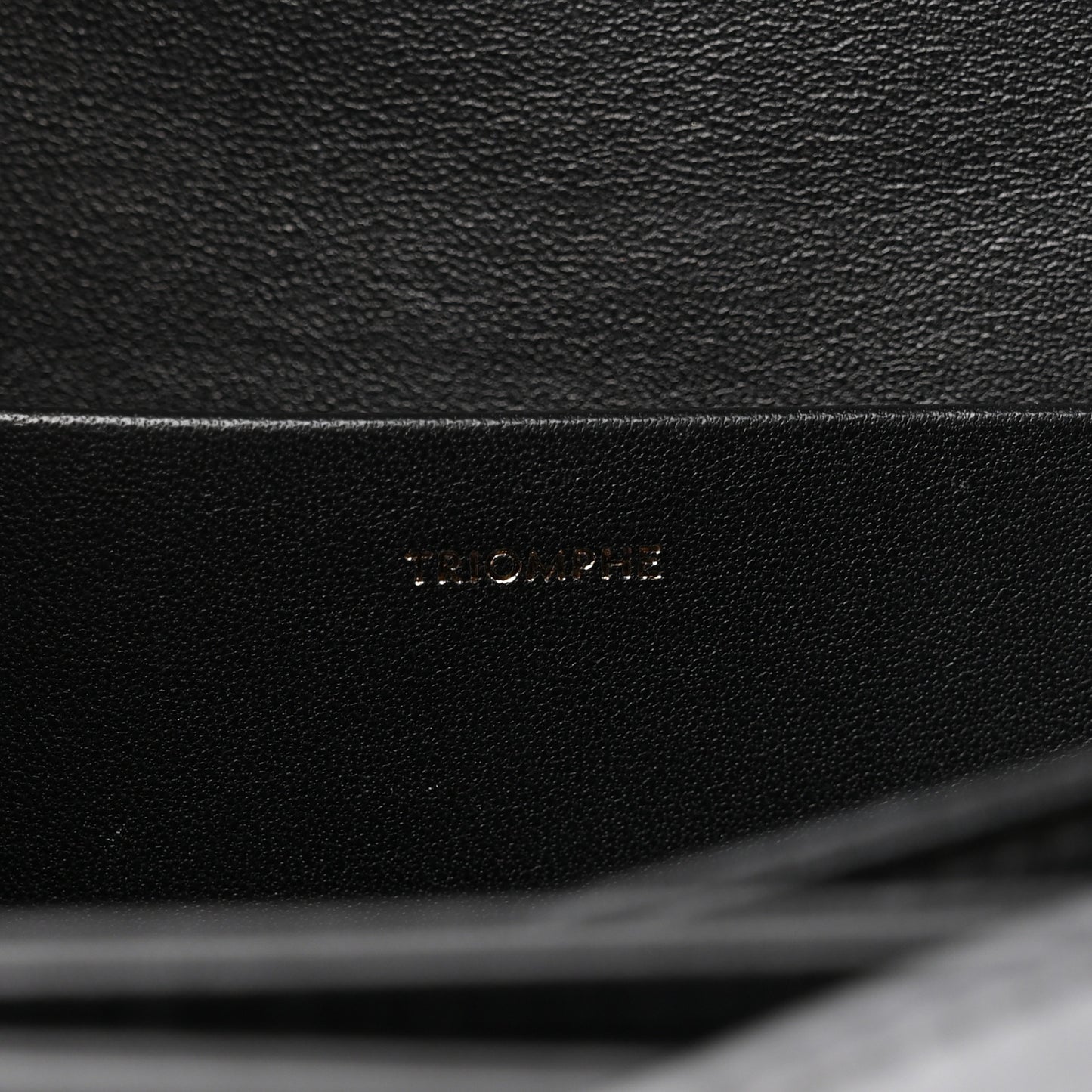 Canvas Calfskin Triomphe Embroidered Medium Triomphe Bag Black