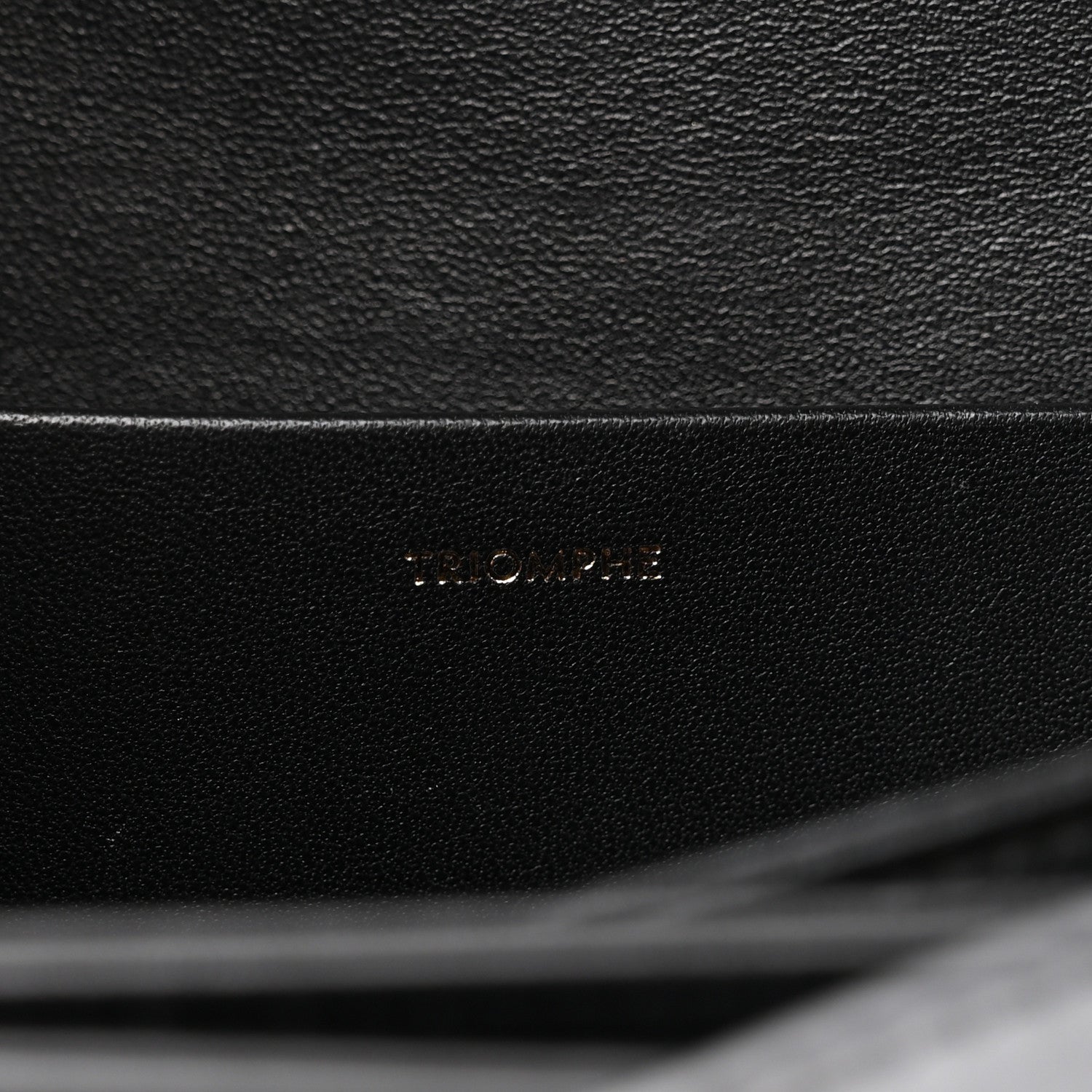 Celine Canvas Calfskin Triomphe Embroidered Medium Triomphe Bag Black 13 of 14
