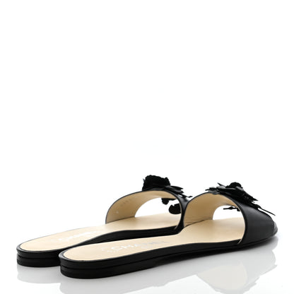 Chanel Lambskin Camellia Sandal Mule 38.5 Black 4 of 8