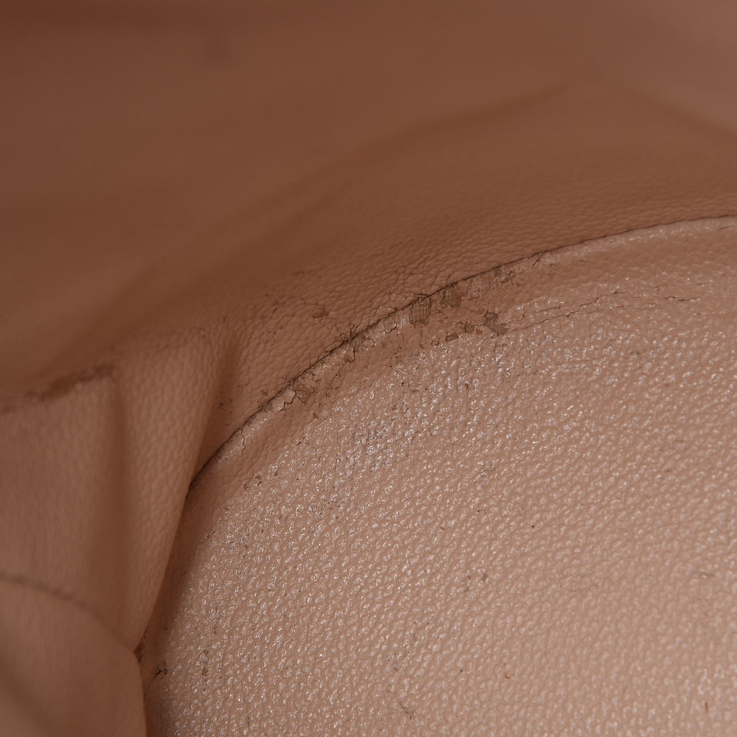 Monogram Petit Bucket 23