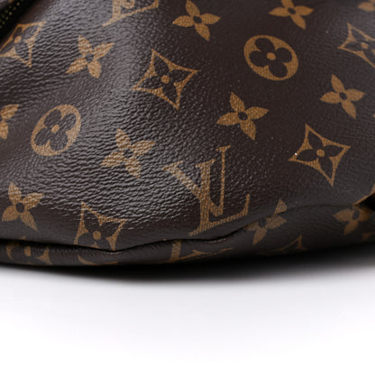 Louis Vuitton Monogram Bumbag 7 of 13