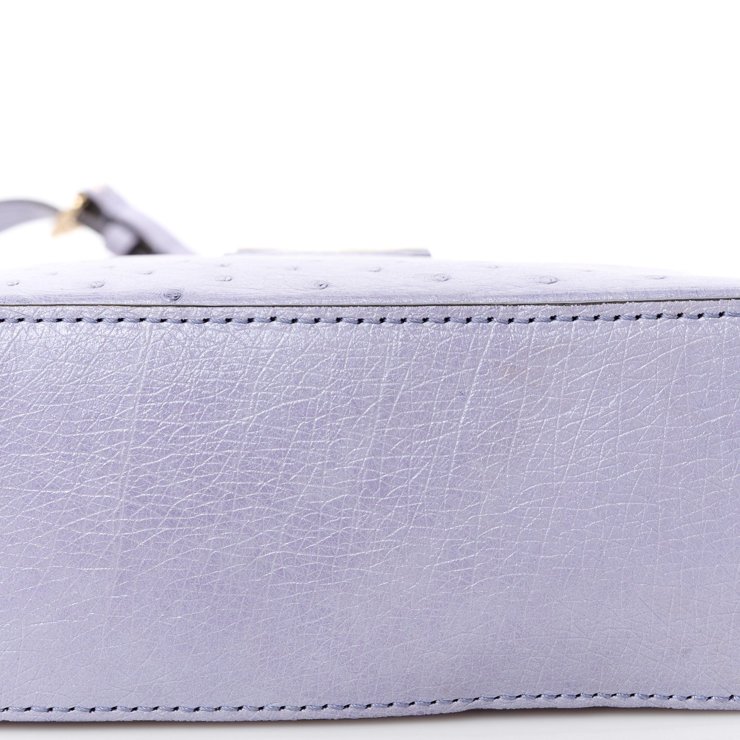 Louis Vuitton Ostrich Capucines Mini Grey 10 of 11