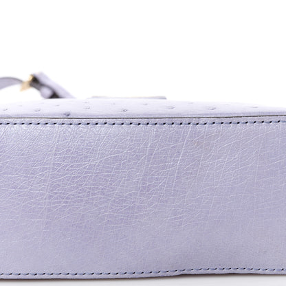 Louis Vuitton Ostrich Capucines Mini Grey 10 of 11
