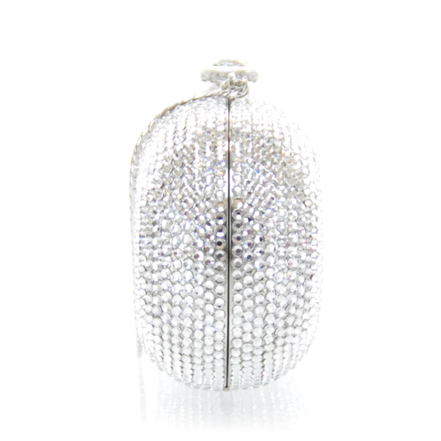 Crystal Minaudiere Clutch