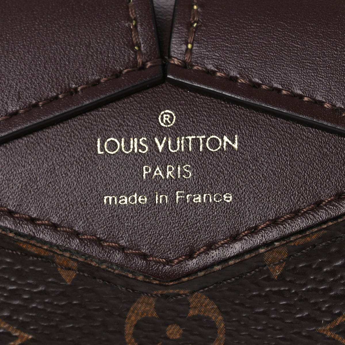 Louis Vuitton Monogram Dog Earpods Case Marron 5 of 8