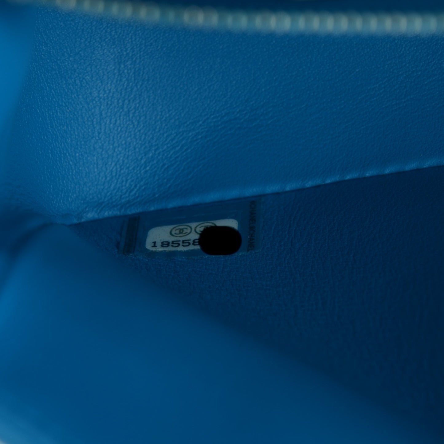 Alligator Medium Double Flap Blue