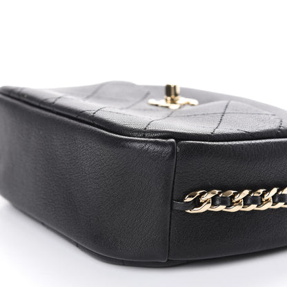 Chanel Goatskin Quilted Small Casual Trip Camera Case Black 7 of 15