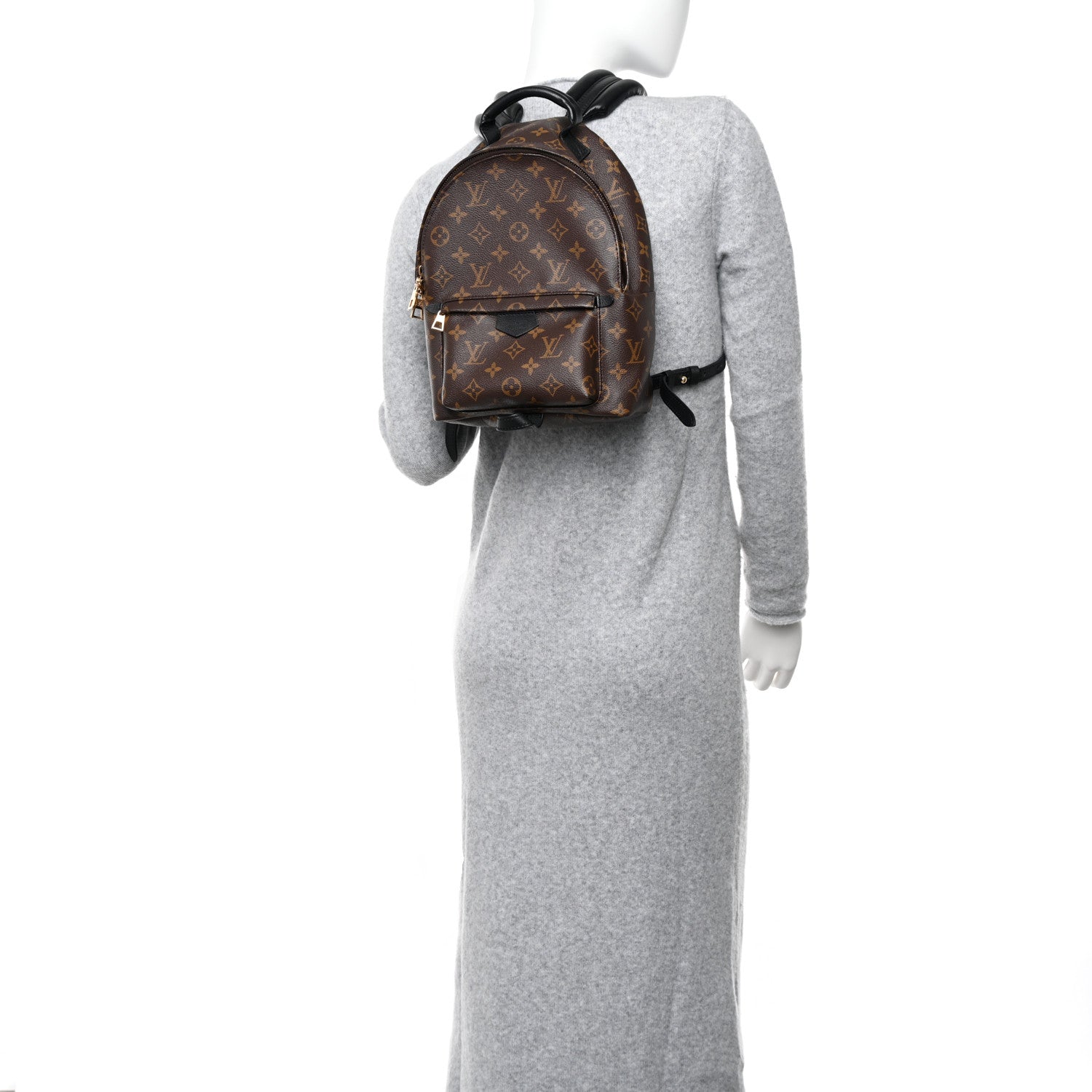 Louis Vuitton Monogram Palm Springs Backpack PM 2 of 9