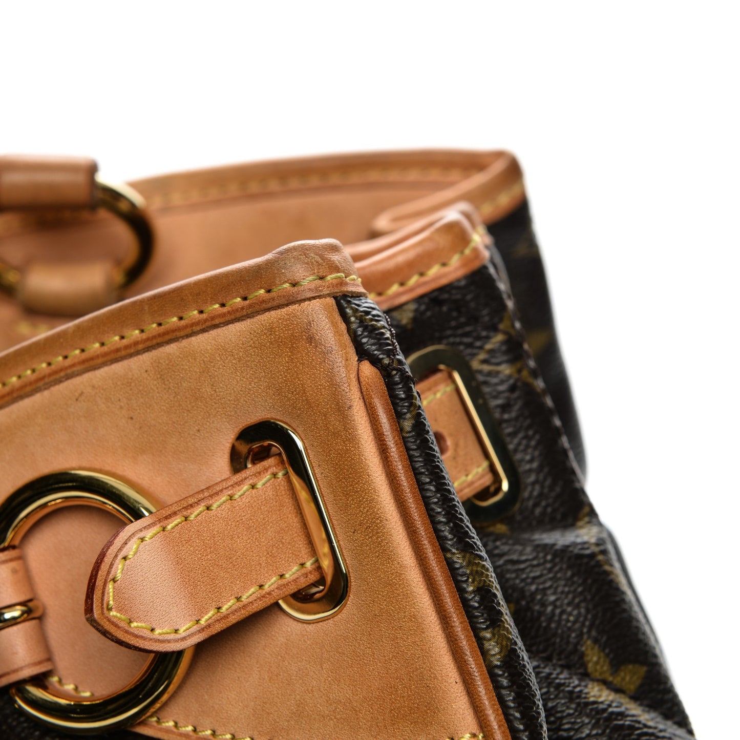 Monogram Etoile Shopper
