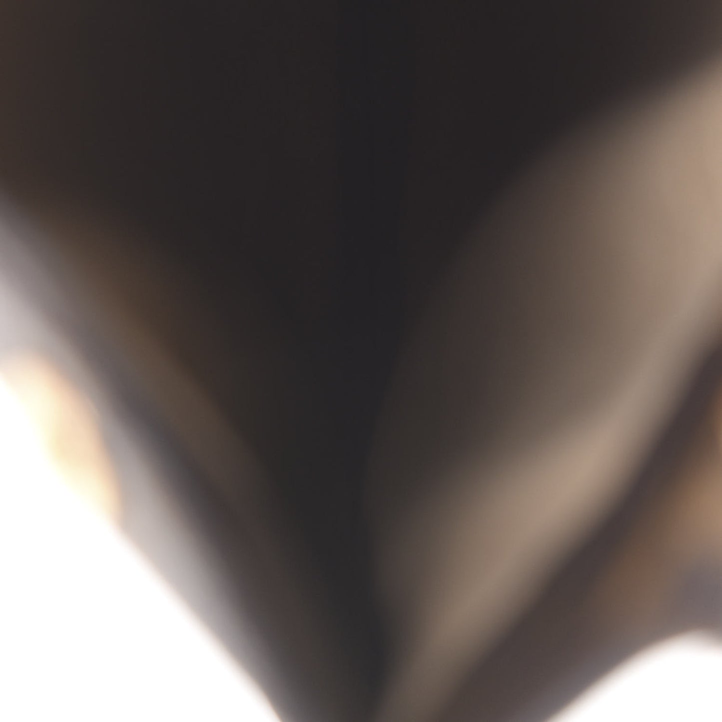 Monogram Sunglasses Case MM