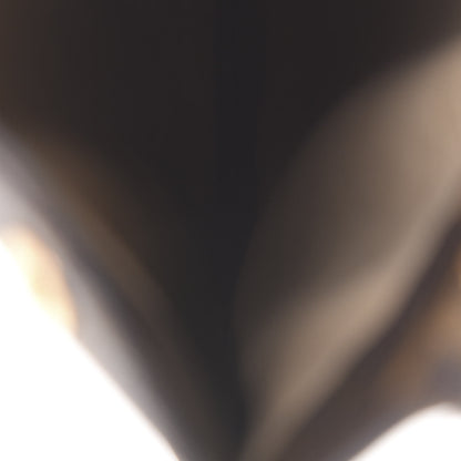 Louis Vuitton Monogram Sunglasses Case MM 5 of 11