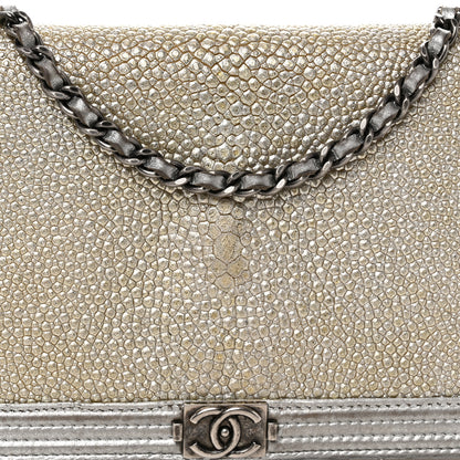 Chanel Metallic Galuchat Stingray Lambskin Boy Wallet On Chain WOC Silver 8 of 12