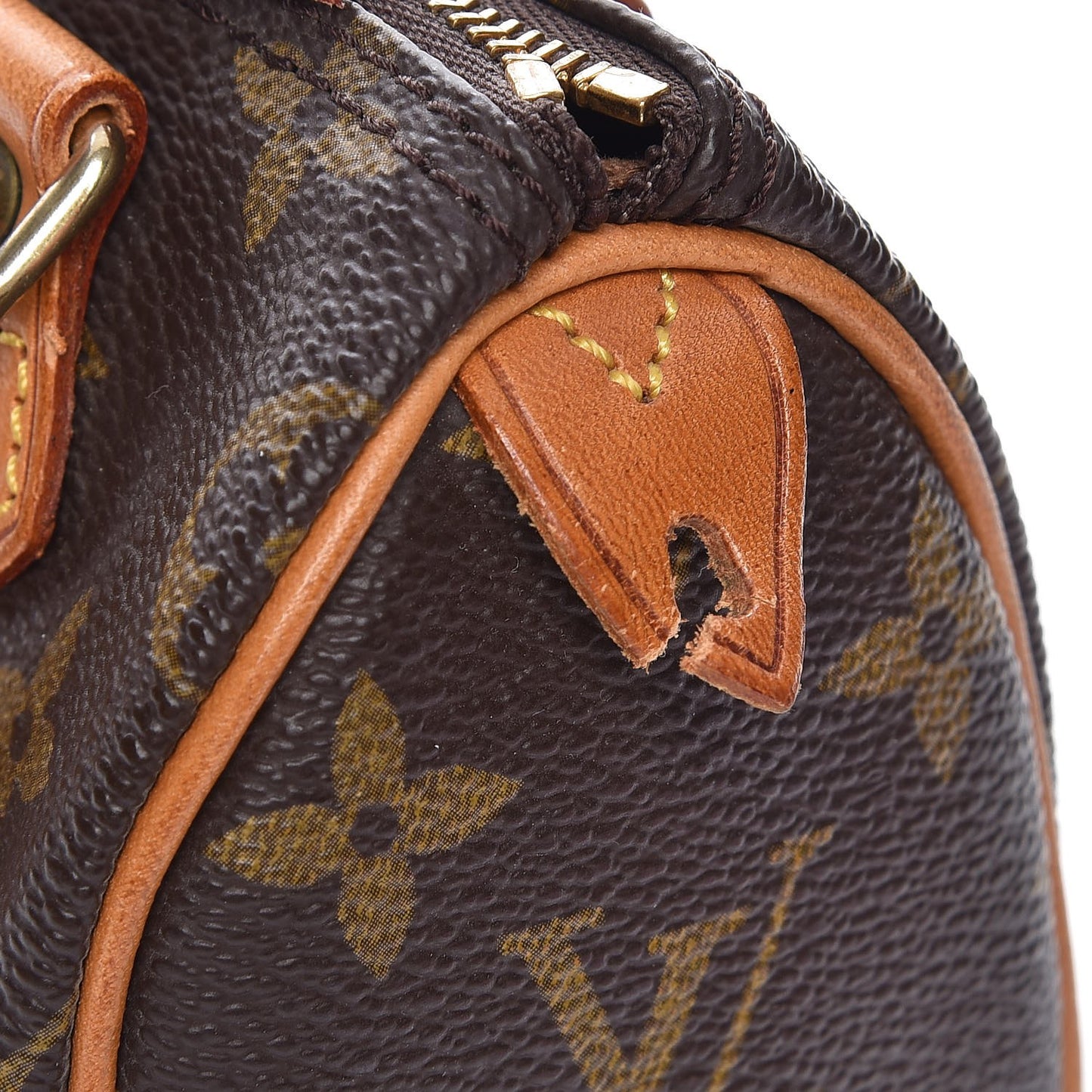 Monogram Mini Sac HL Speedy