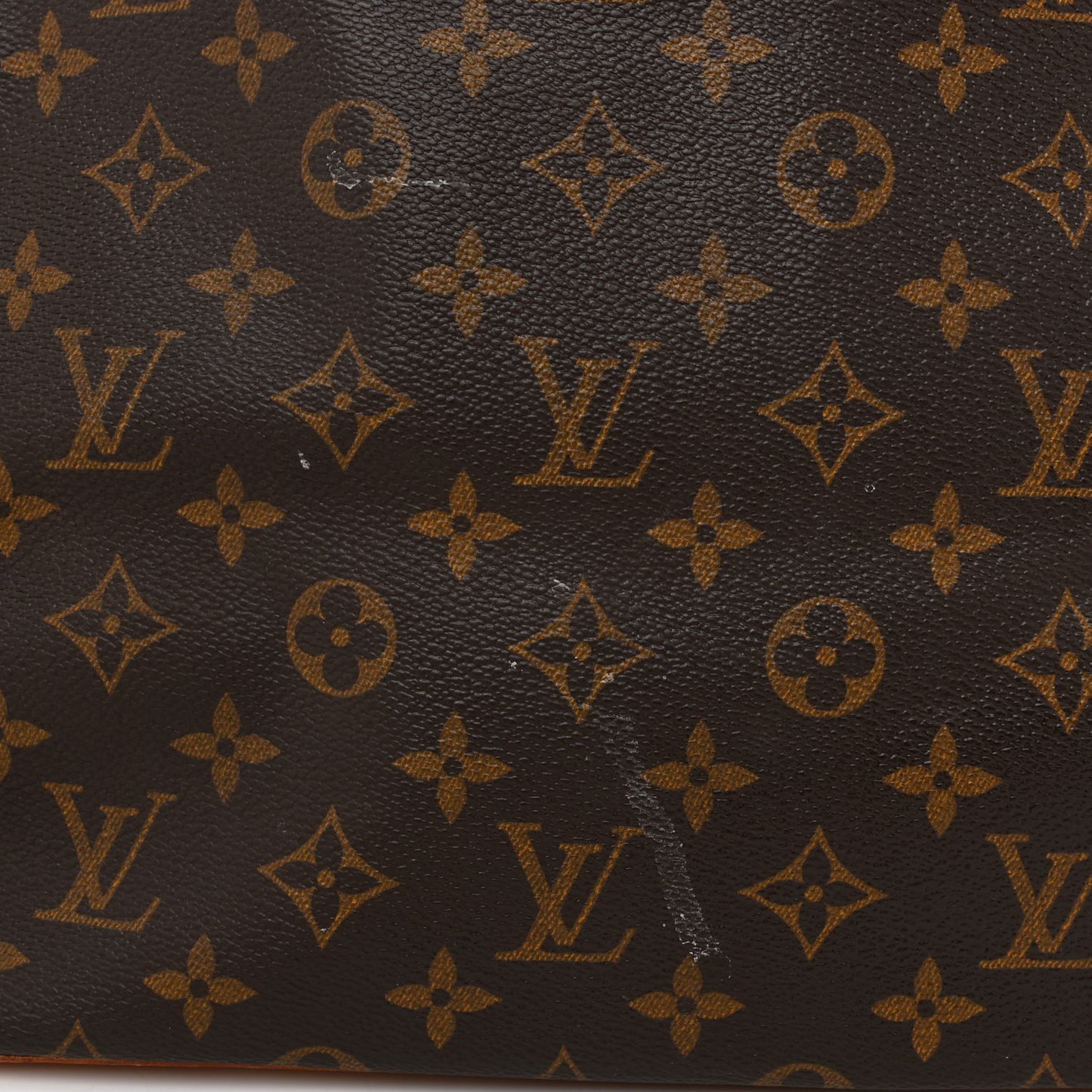 Monogram Cabas Mezzo