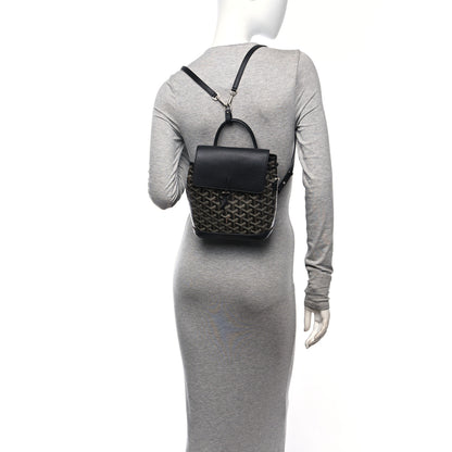 Goyard Goyardine Calfskin Mini Alpin Backpack Black 2 of 9