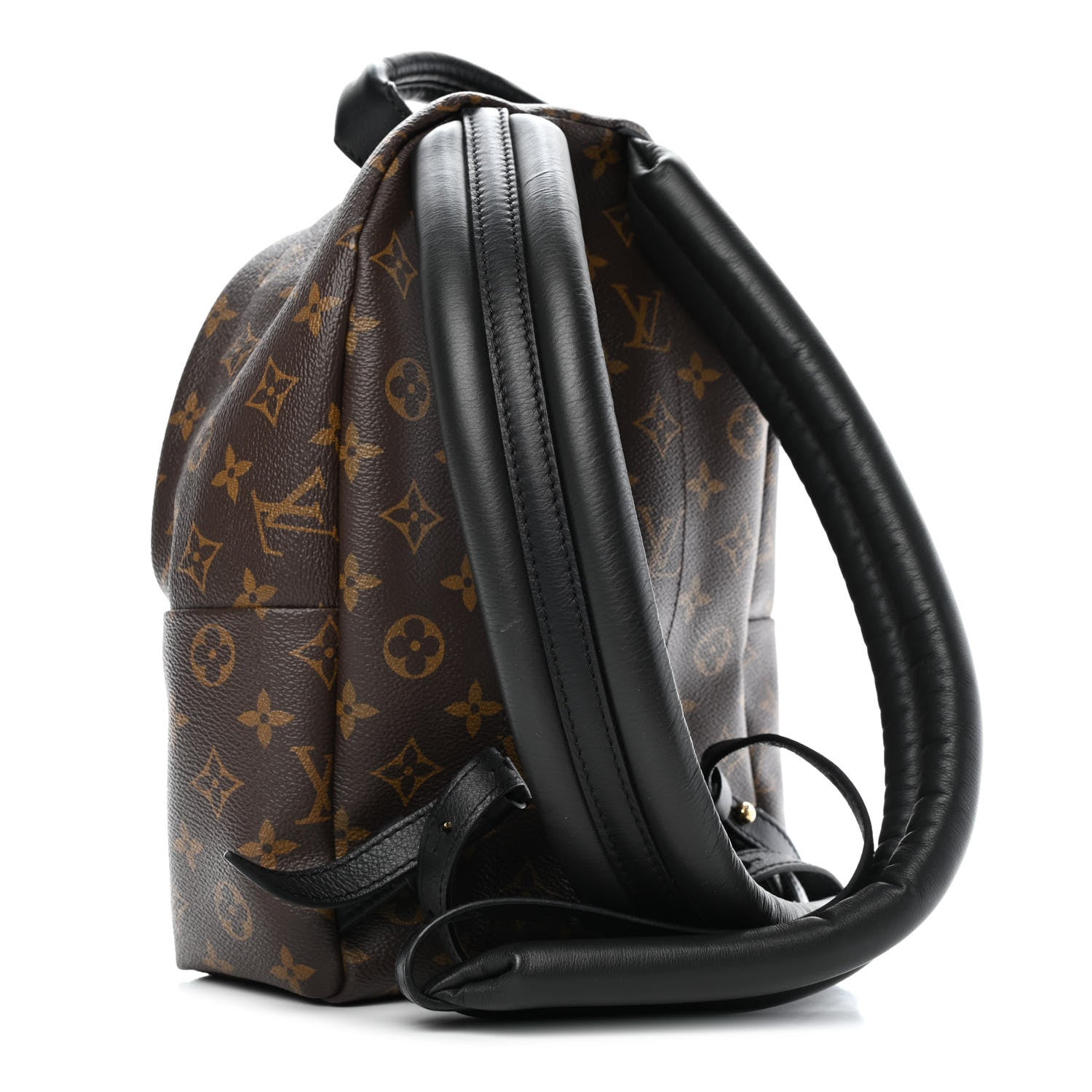 Louis Vuitton Monogram Palm Springs Backpack PM 2 of 4