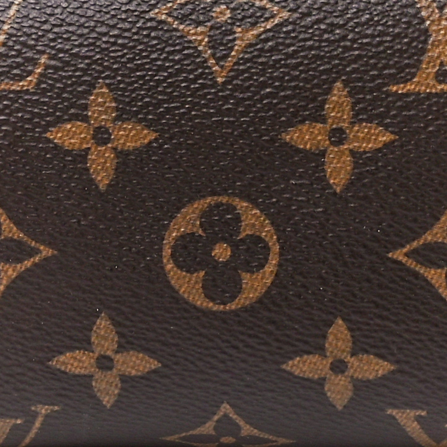 Monogram Nano Speedy