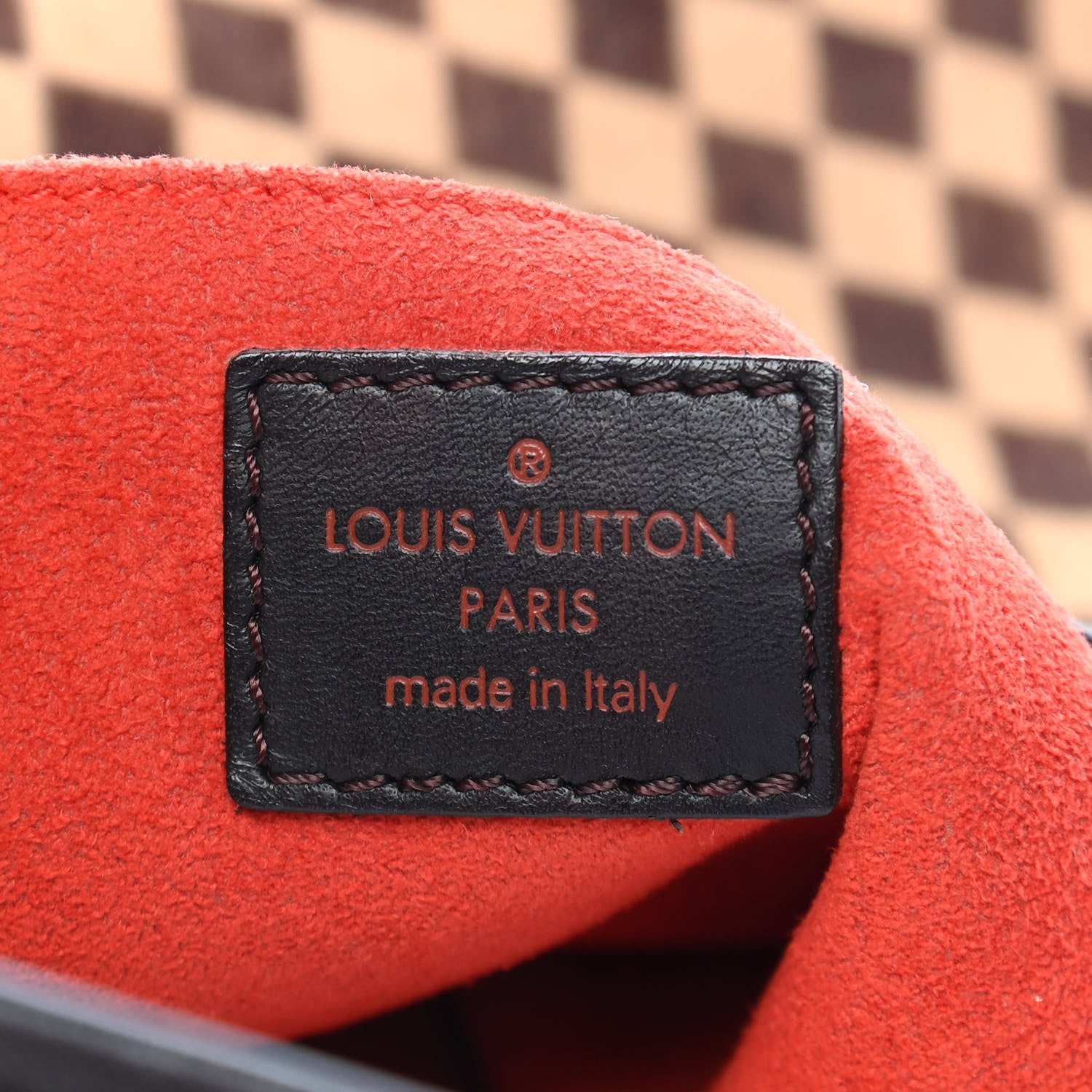 Louis Vuitton Calf Hair Damier Sauvage Tigre 6 of 9
