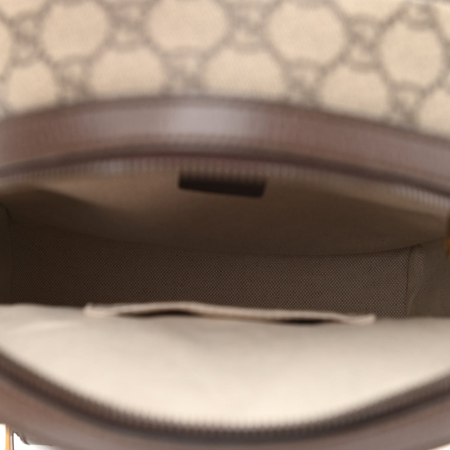GG Supreme Monogram Calfskin Web Small Ophidia Day Backpack Beige Ebony New Acero