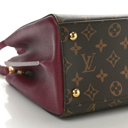 Louis Vuitton Monogram Florine Raisin 9 of 10