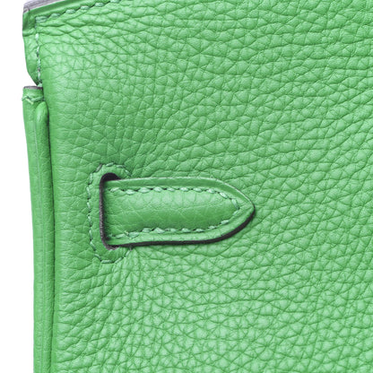 Hermes Togo Birkin 25 Bambou 16 of 33