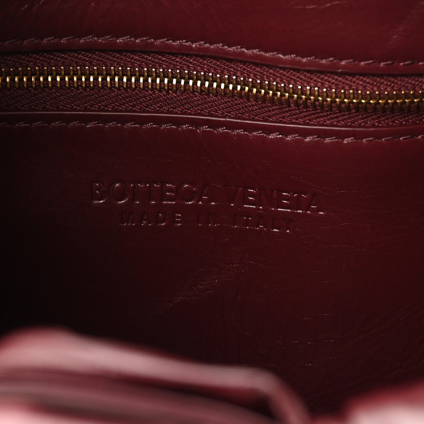 Paper Calfskin Intreccio Plisse Cassette Camera Bag Barolo