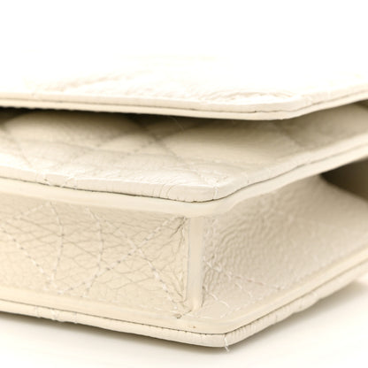 Christian Dior Supple Calfskin Caro Pouch with Chain Latte 10 of 12
